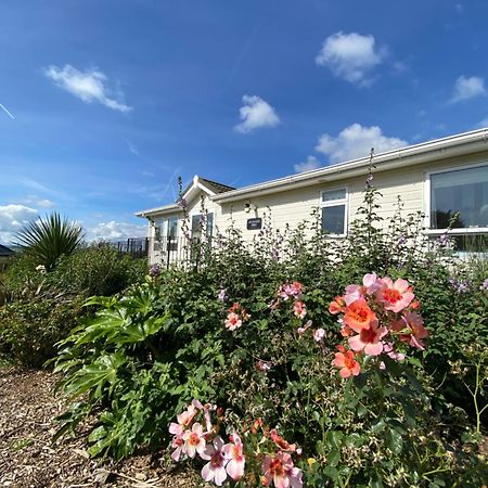 לאונססטון East Kitcham Lodge מראה חיצוני תמונה
